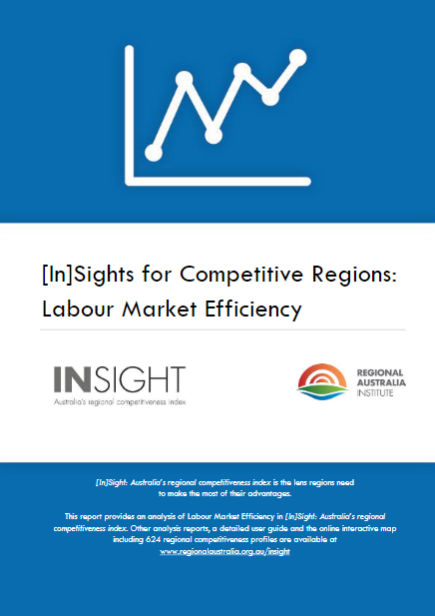 InSight For Competitive Regions: Labour Market Efficiency